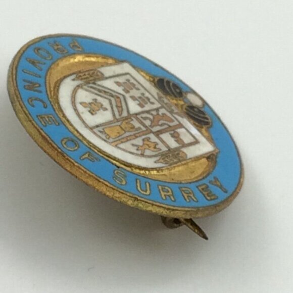 Vintage Province of Surrey Enamel Metal Pin Badge HW Miller UK England Souvenir - Picture 9 of 11